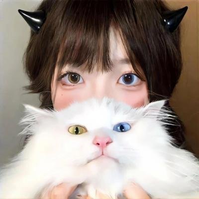 旅行者与魔术师