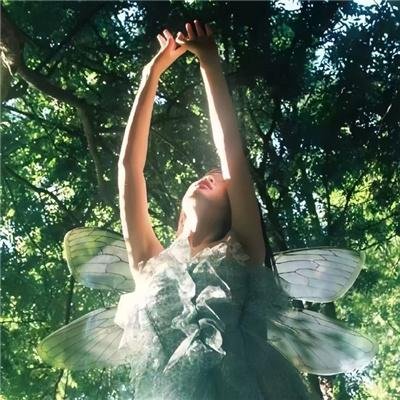 假结婚真幸福